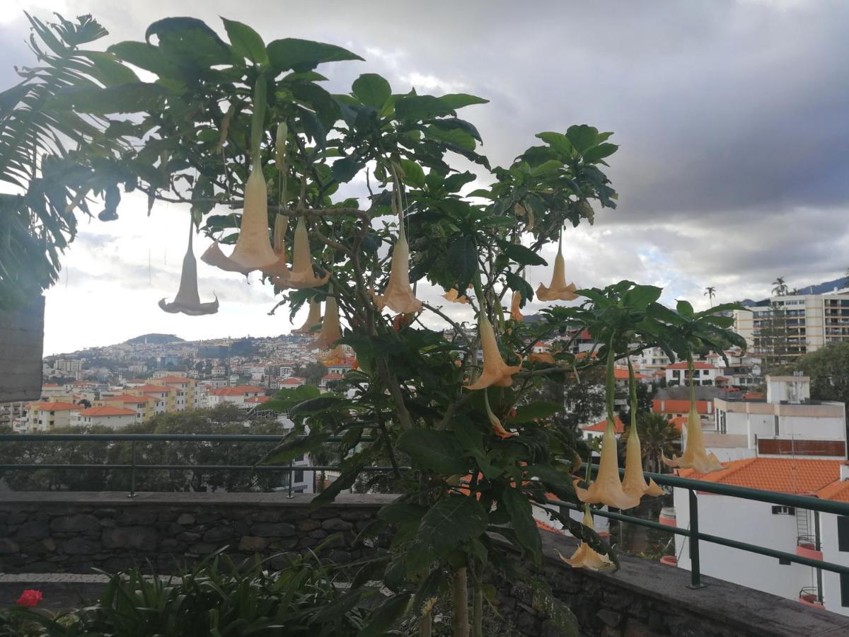 Casa Vanday Funchal  Eksteriør billede
